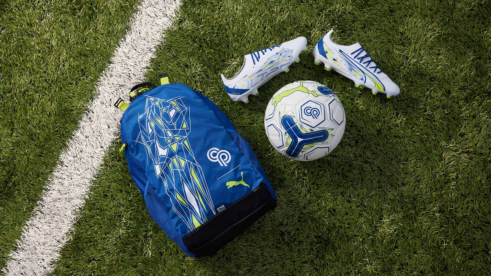 悟天地的无 悟天地的无